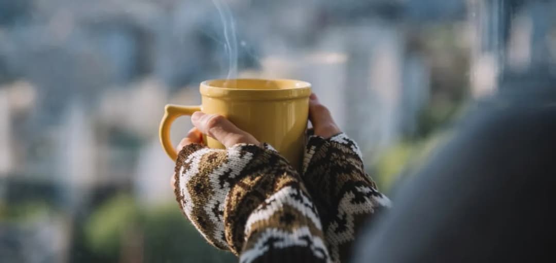 Jaka herbata na wątrobę? Odkryj najlepsze zioła dla zdrowia wątroby